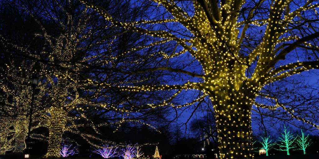 Moon Valley Nursery Arizona Blog (2)